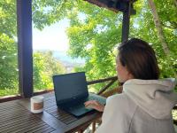 Mountain and Sea view