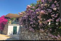 Konstantinas House, a touch of nature & sea