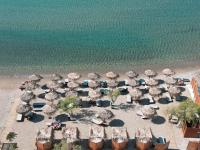 Erato by Samian Mare