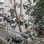 Small budget studio center1