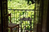 Λευκή Καμέλια