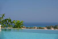 Villa Dimitris - The House & The Suite
