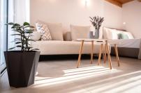 'Elan Suites