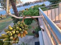 Top floor on villa, 3' from center, by the sea! Host is Efi Kwsta