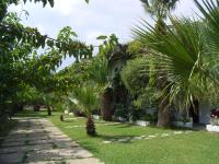 Damnoni Paradise
