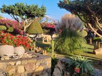 Nectar Luxury Apartments