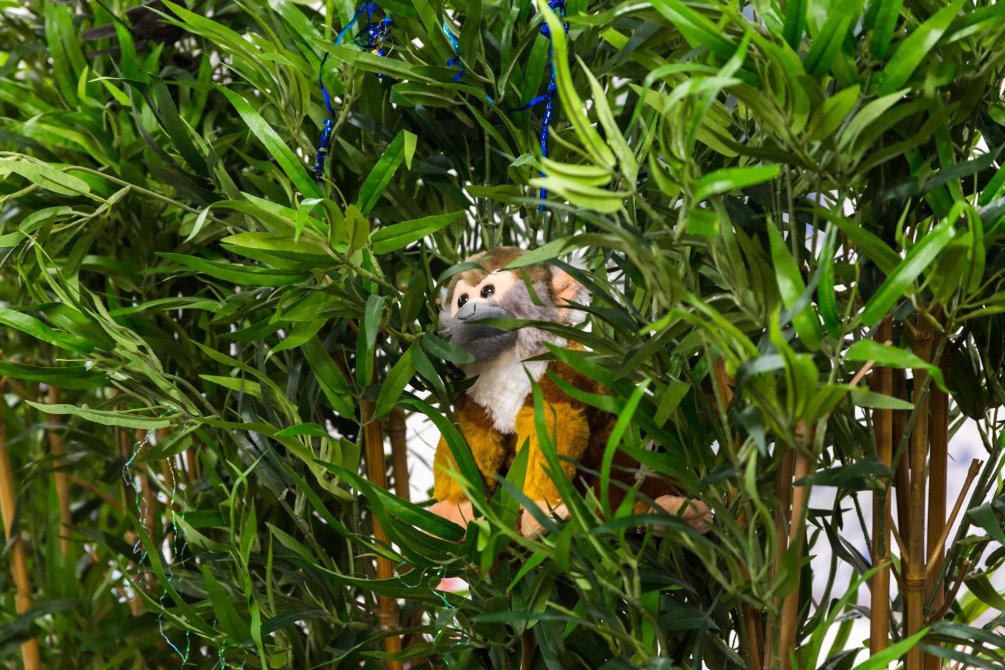 Single Bed in 9-Bed Mixed Dormitory Room with Private Bathroom