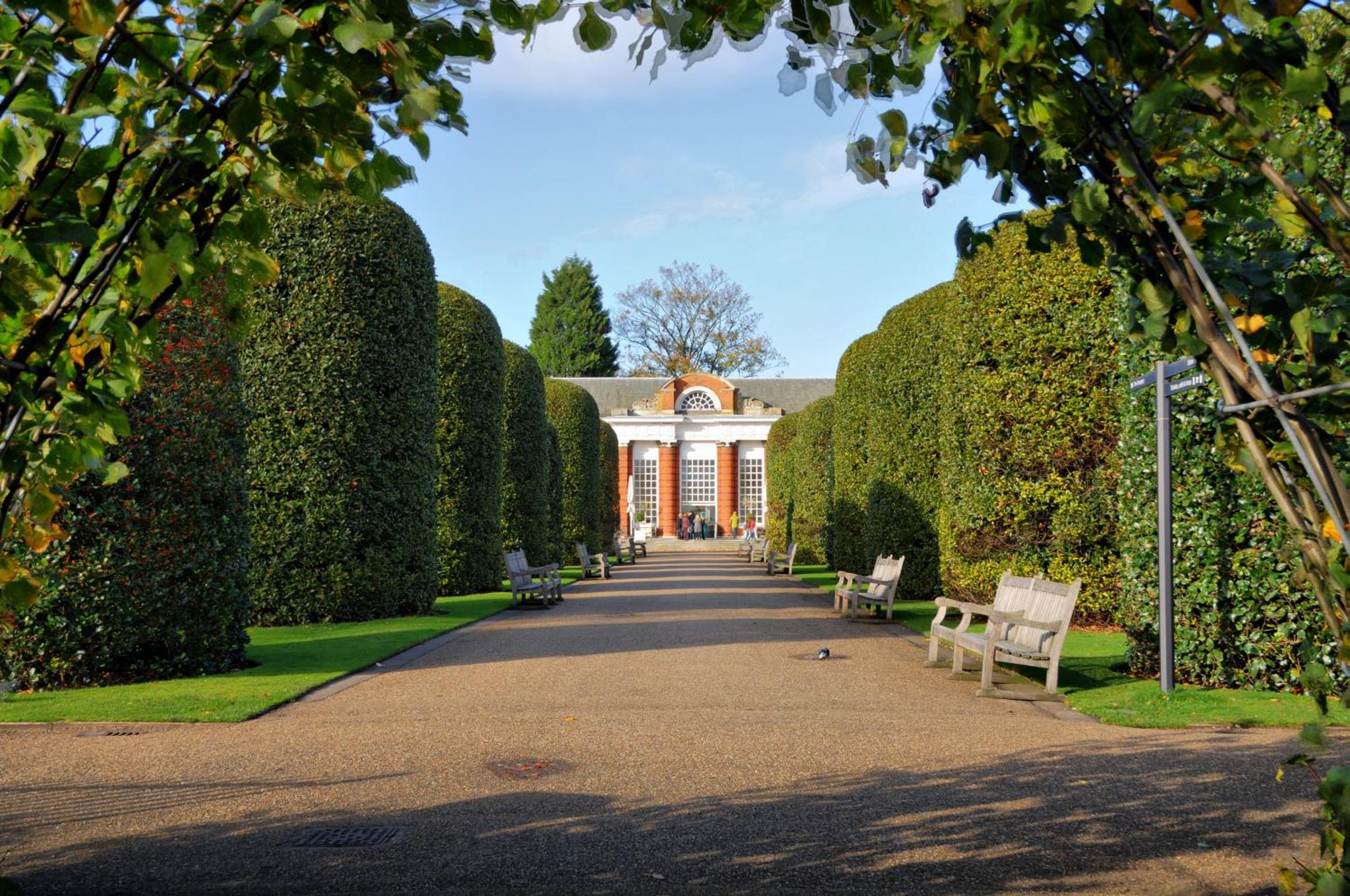 a row of hedges in front of a building at Troy Hotel in London