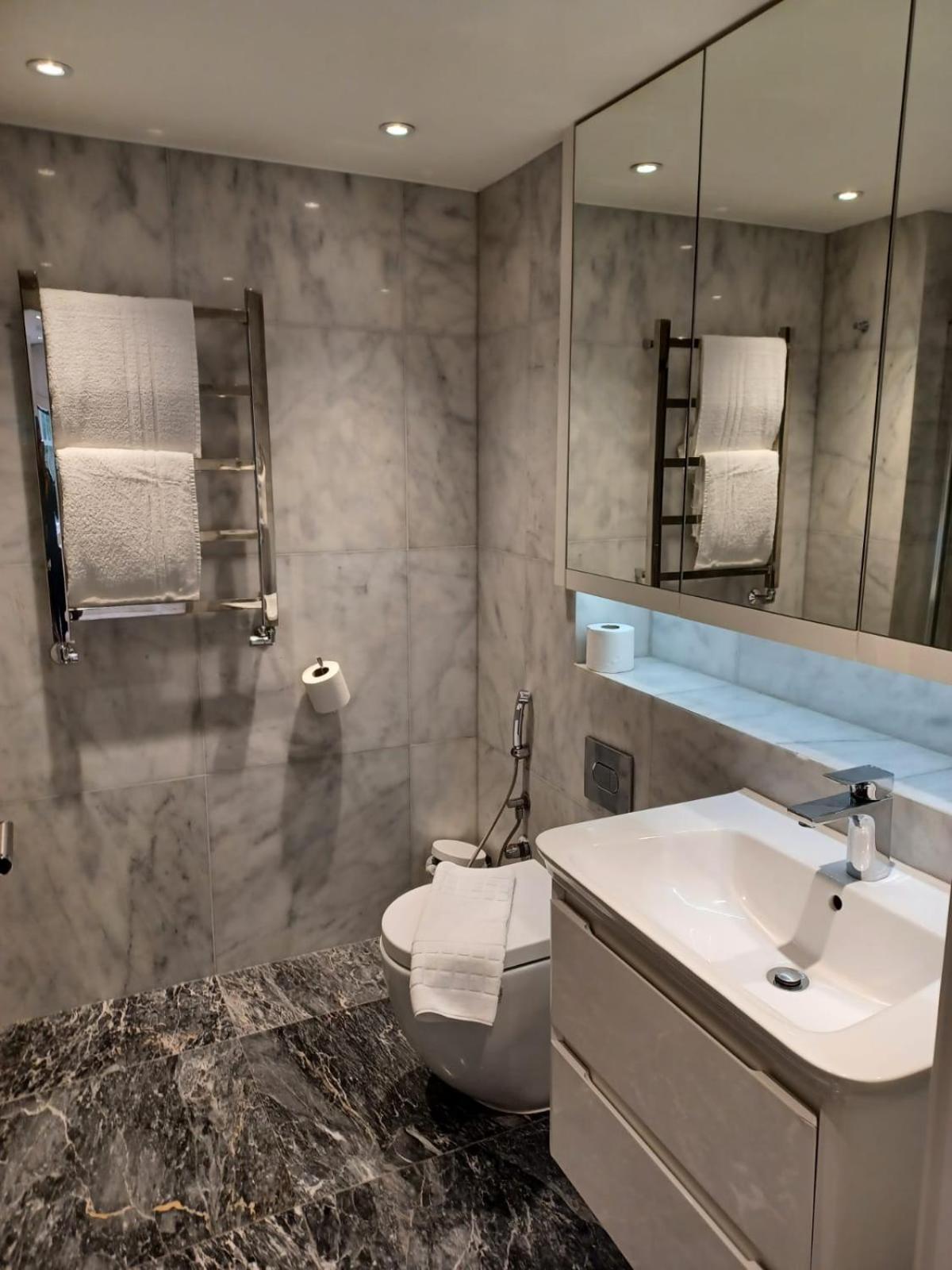 a bathroom with a sink and a toilet and a mirror at Buckingham Palace Residences by Aeria Apartments in London +34 photos