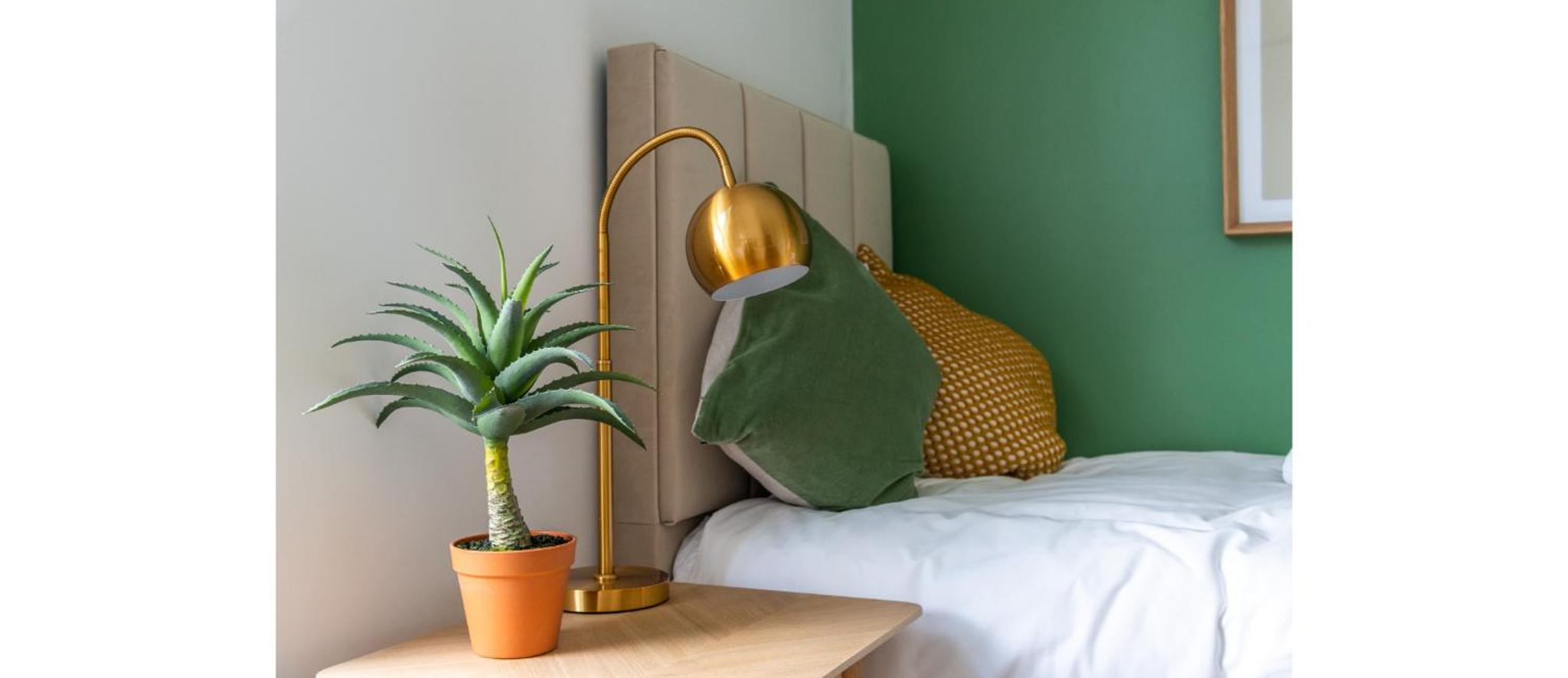 Cozy and Lovely Studio - Close to everything!