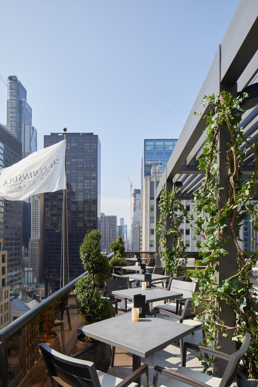 Executive King Suite