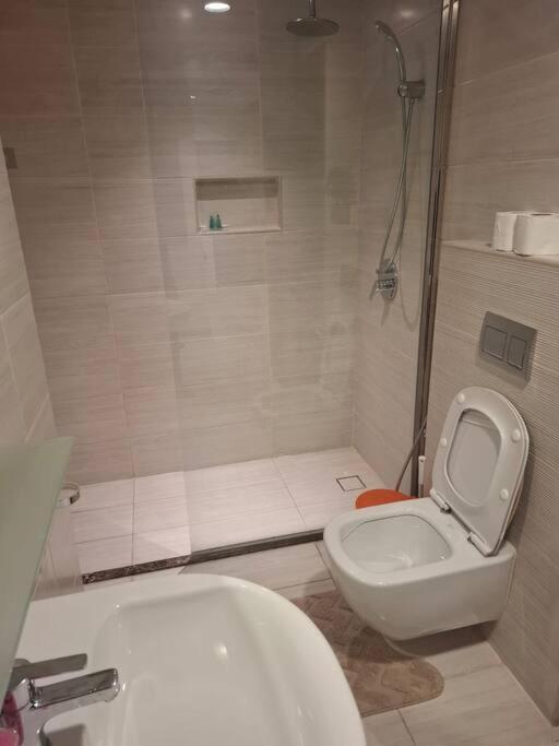 a bathroom with a shower and a toilet and a sink at Home on Holiday -Apartments in Manama +7 photos