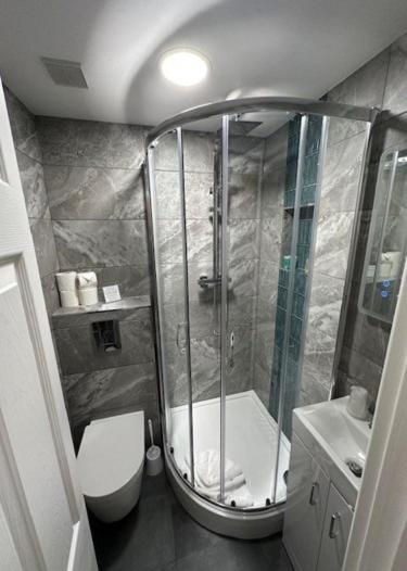 a bathroom with a shower and a toilet at Vincent House London Residence in London +60 photos