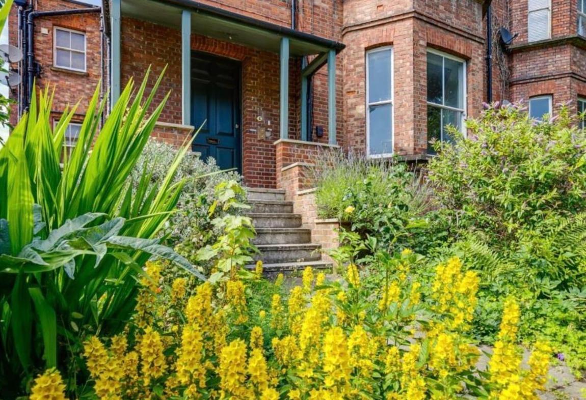 a brick house with a blue door and some flowers at Cosy central studio close to local attractions in London