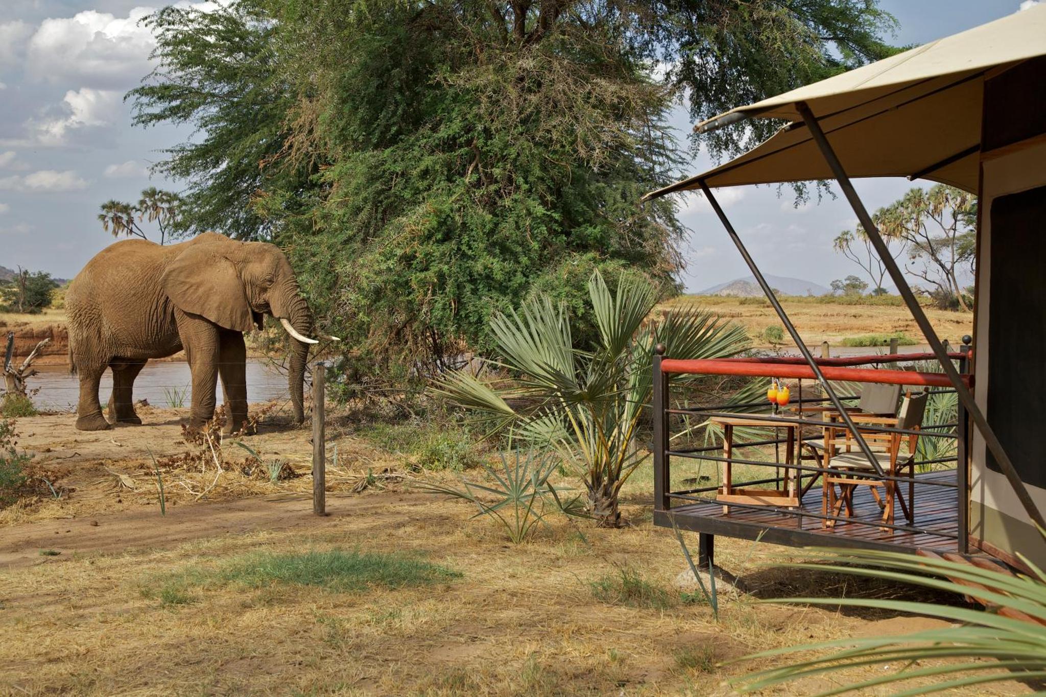 Sarova Lion Hill Game Lodge