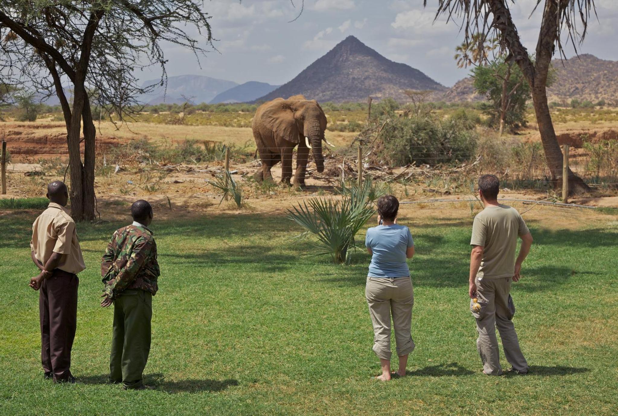 Sarova Lion Hill Game Lodge