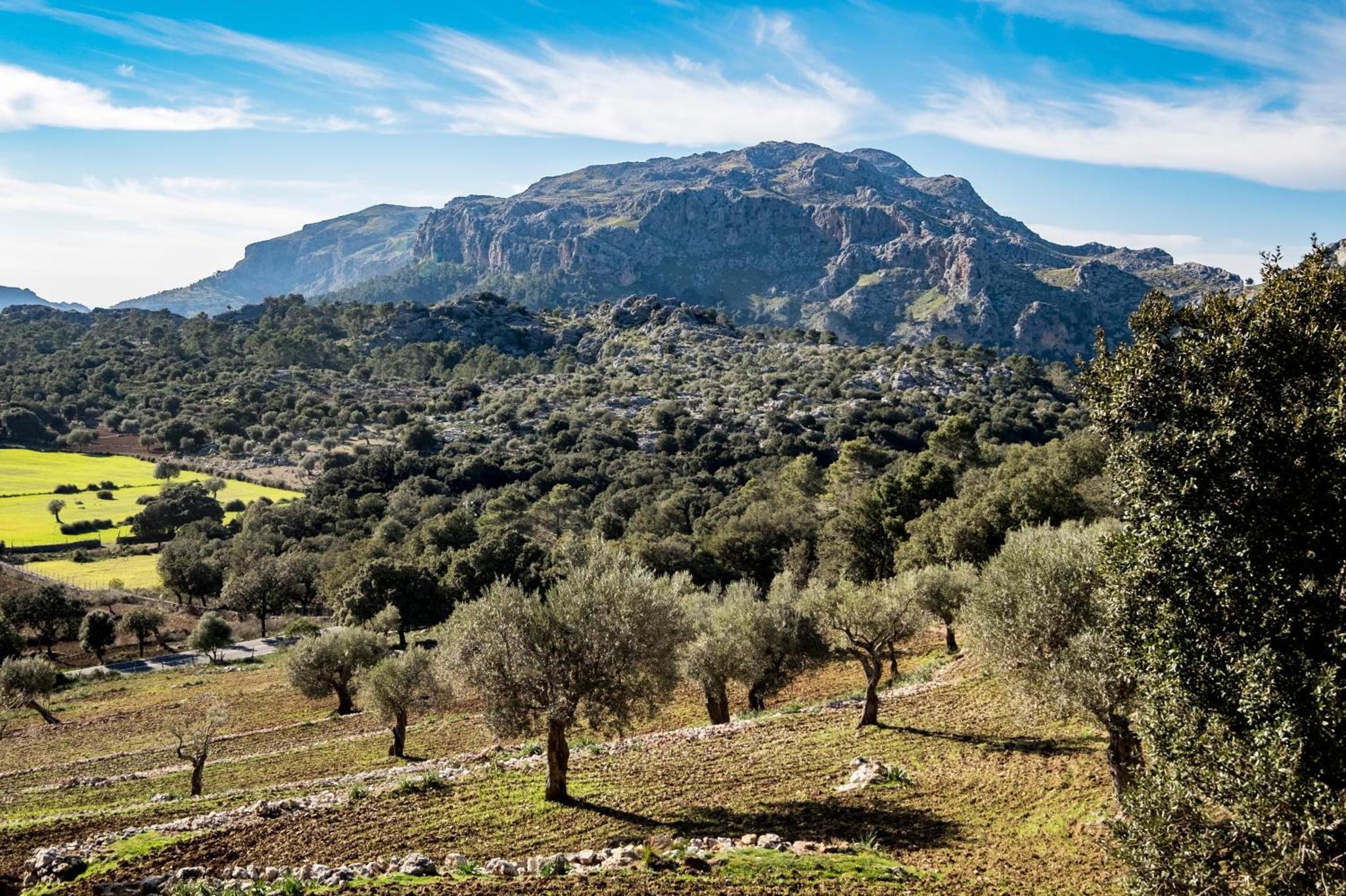 Agroturismo Son Alzines