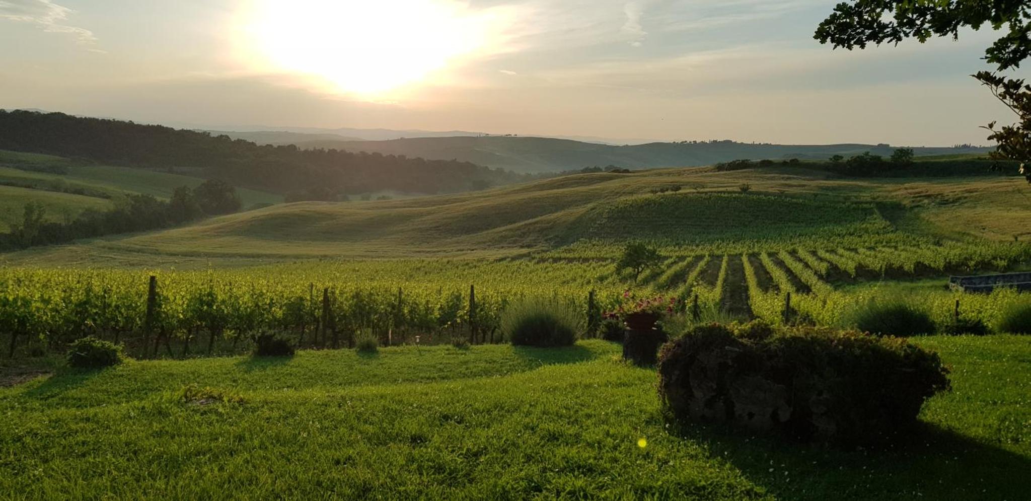 Agriturismo Bagnaia — thumbnail 3