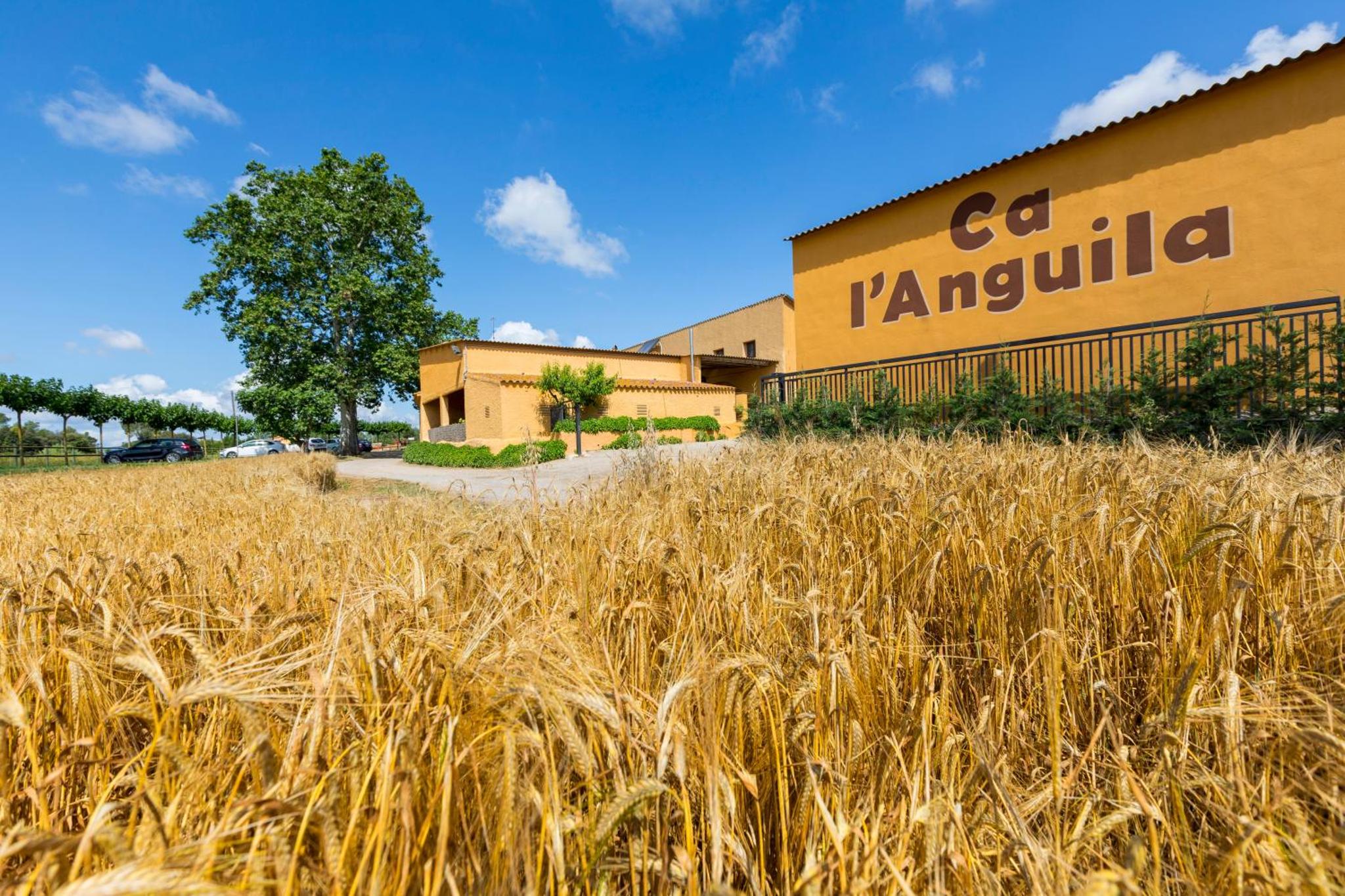 Turisme Rural Ca l,Anguila — thumbnail 4