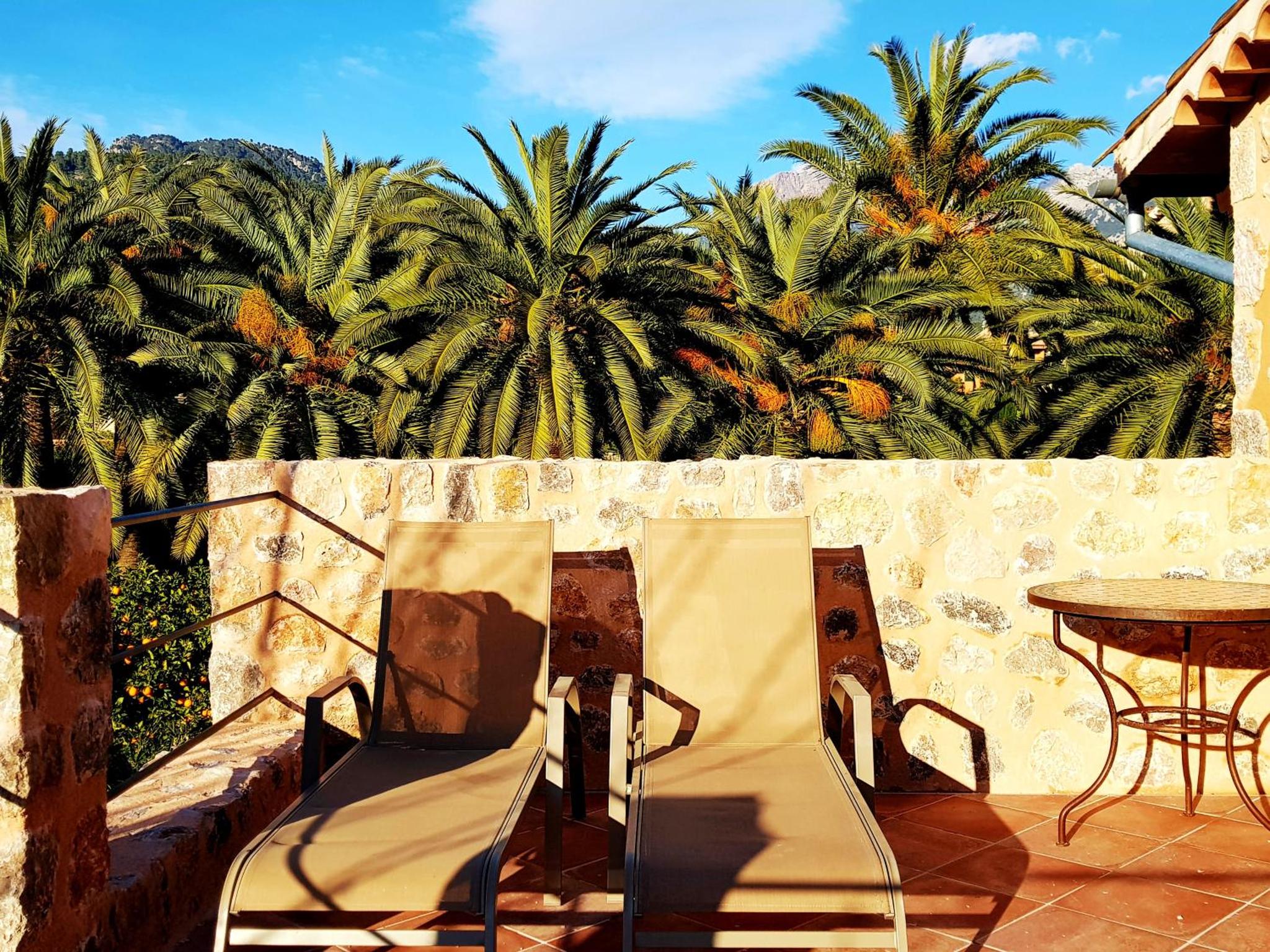 Finca Ca's Curial - Agroturismo — thumbnail 3