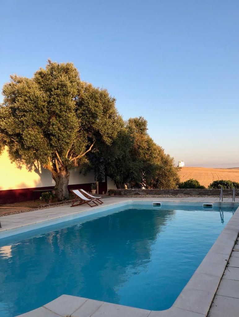 Monte da Floresta B&B — thumbnail 2
