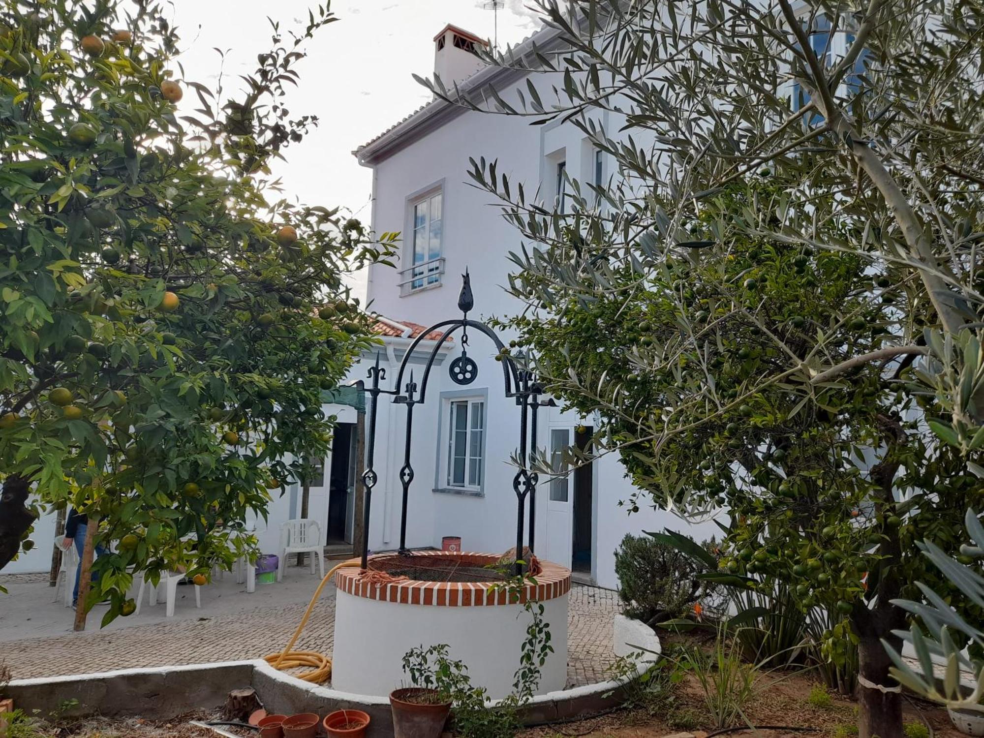 Pias Guesthouse — thumbnail 3