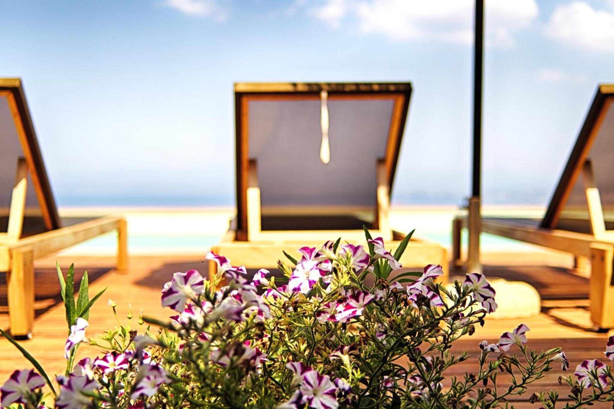 Euphoria Estate Messinia — thumbnail 3