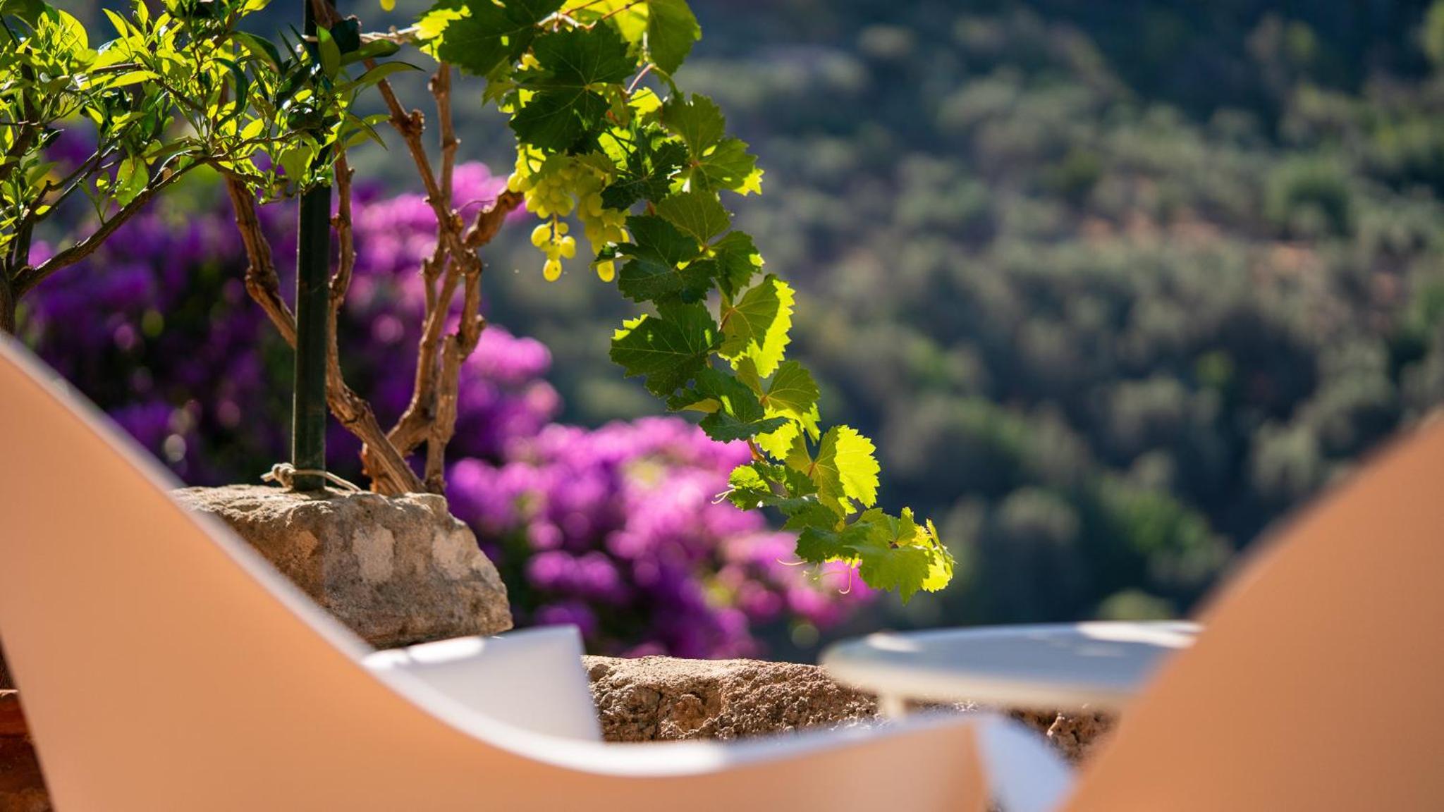 Hotel Can Verdera — thumbnail 4