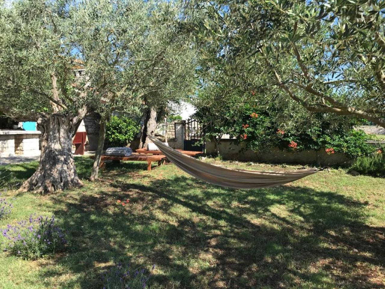 Farmhouse Cubani — thumbnail 3