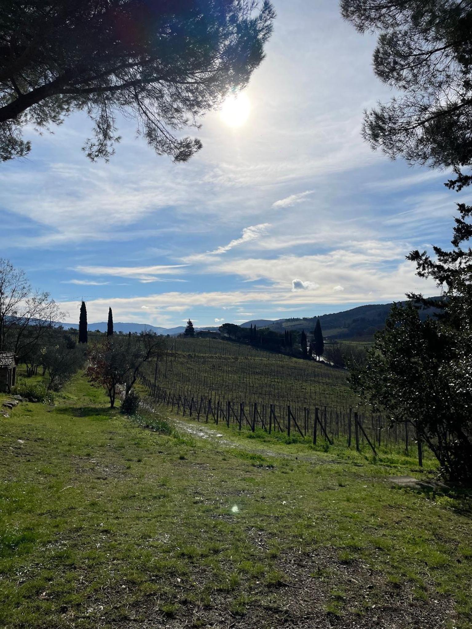Corte Di Valle — thumbnail 4