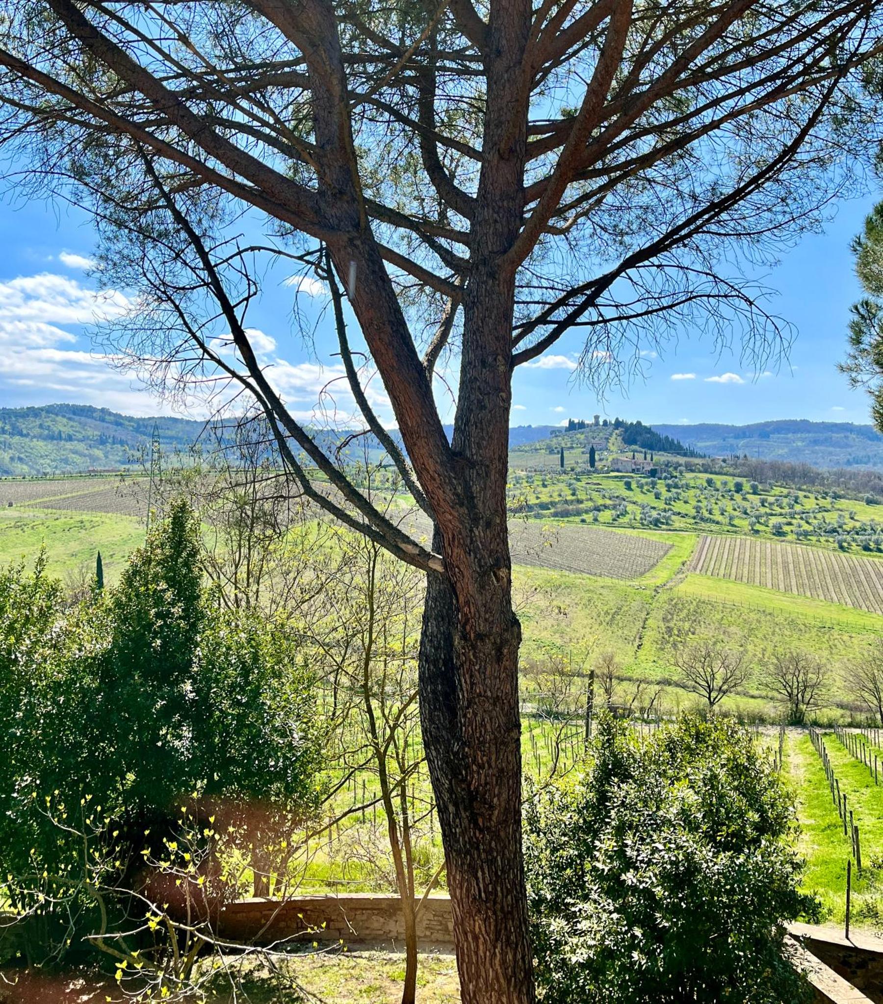 Corte Di Valle, Greve In Chianti