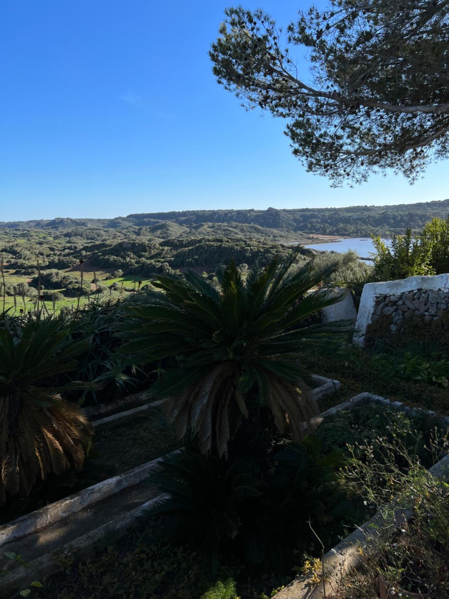 Mongofre Agroturismo — thumbnail 2