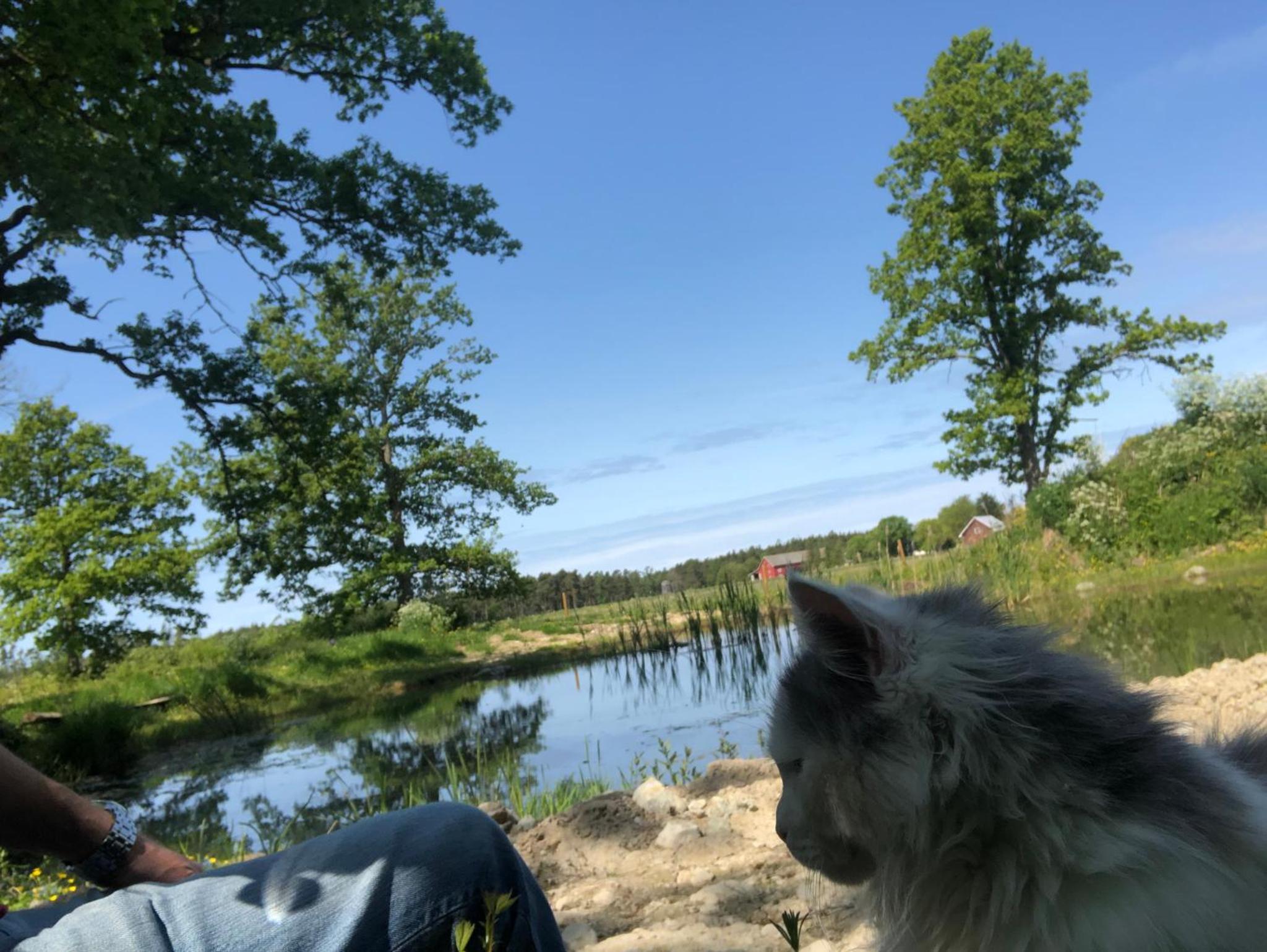 Isomegård Väte Gotland, Klintehamn