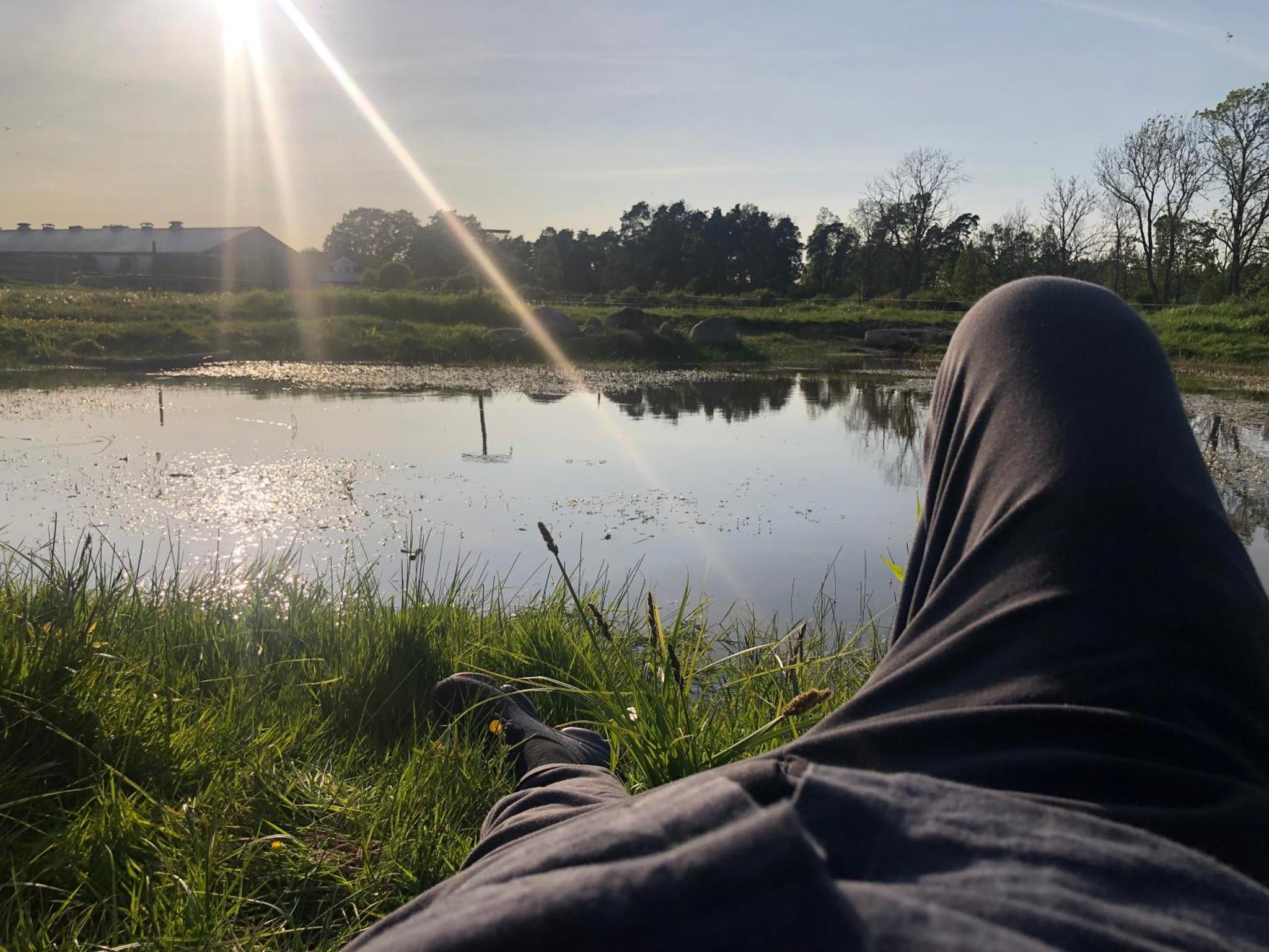 Isomegård Väte Gotland — thumbnail 2