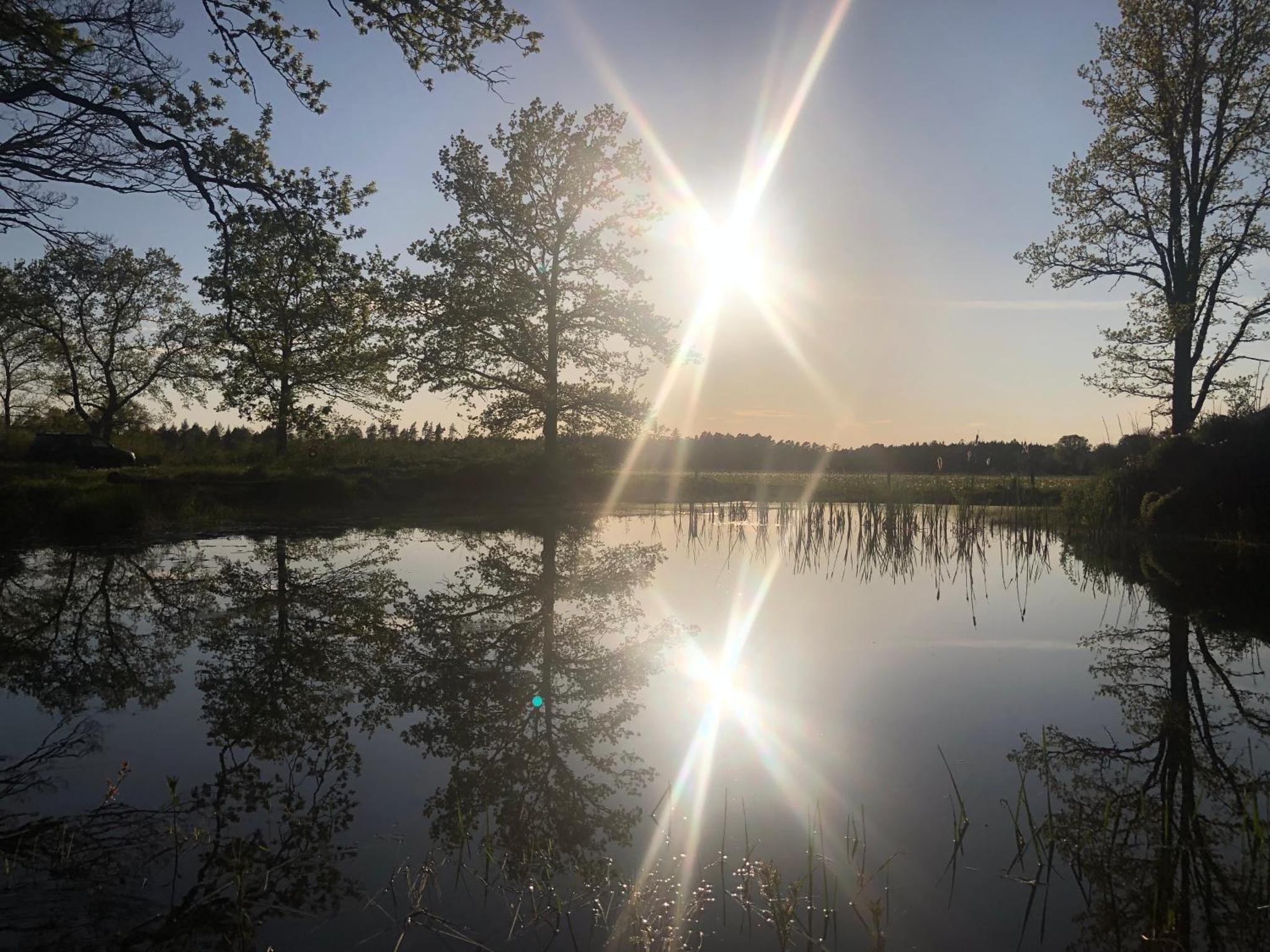 Isomegård Väte Gotland — thumbnail 3
