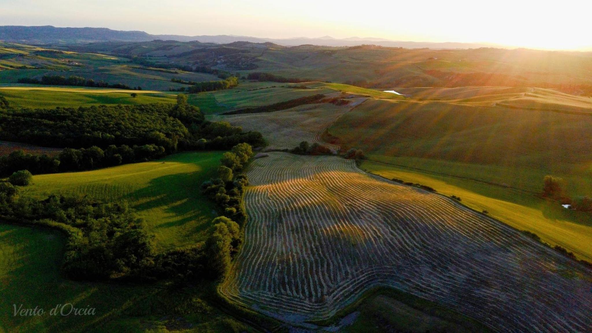 Vento d’Orcia — thumbnail 4
