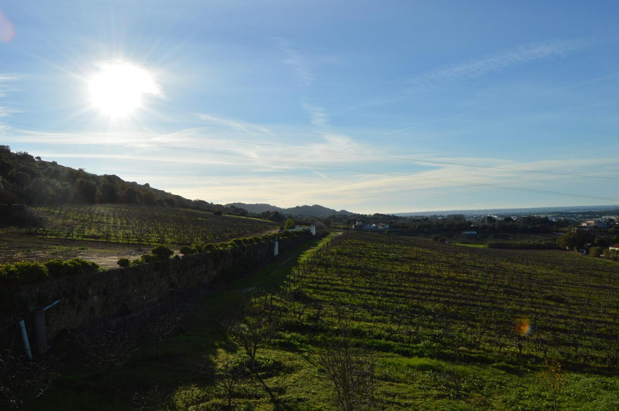 Quinta do Piloto