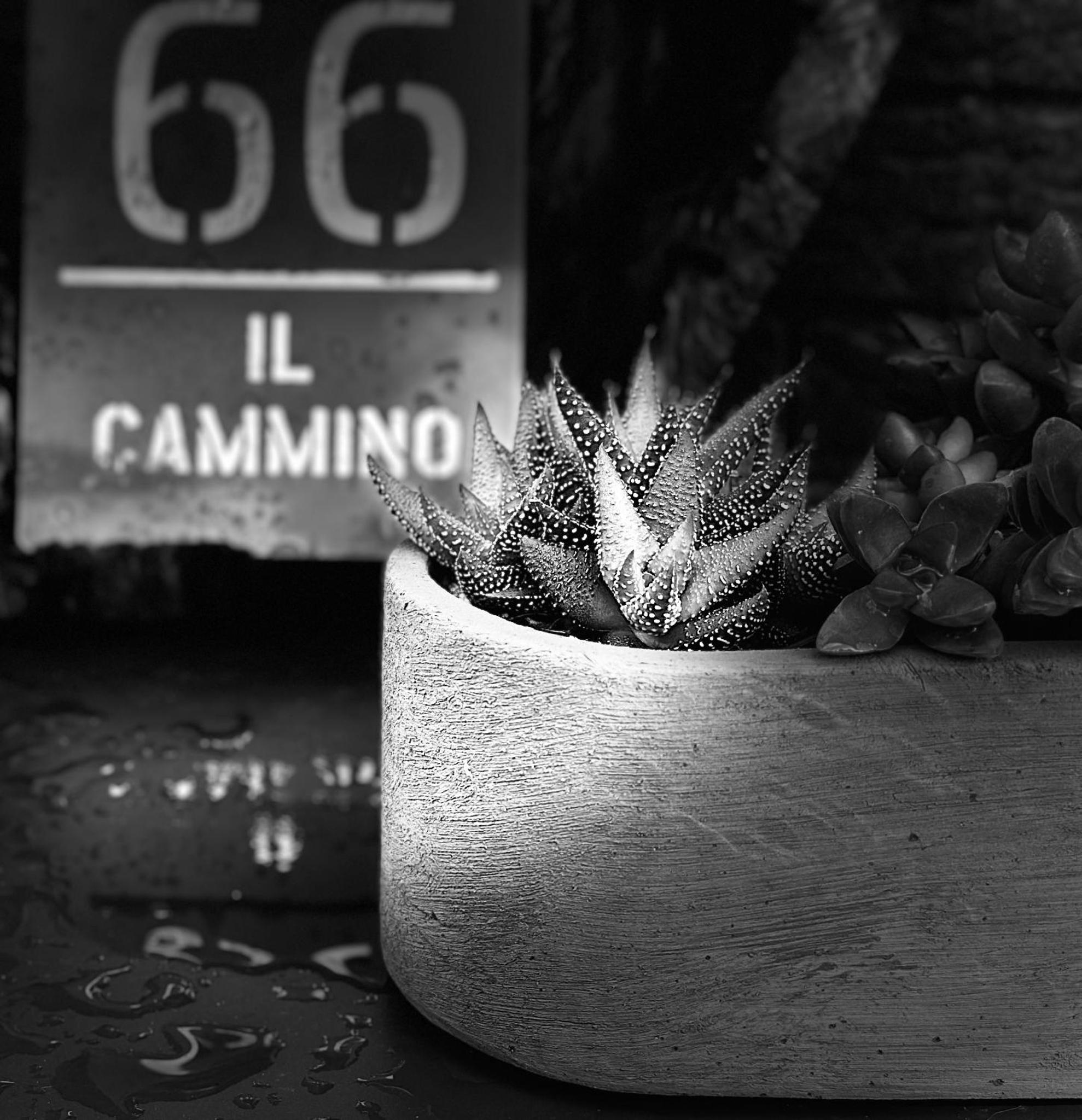 Il Cammino