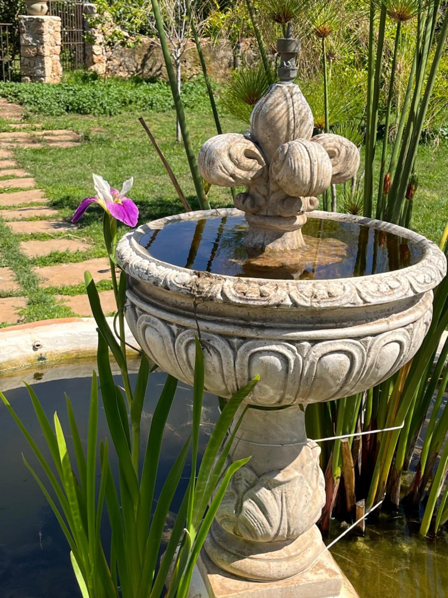 Mater Familias Oasis — thumbnail 4