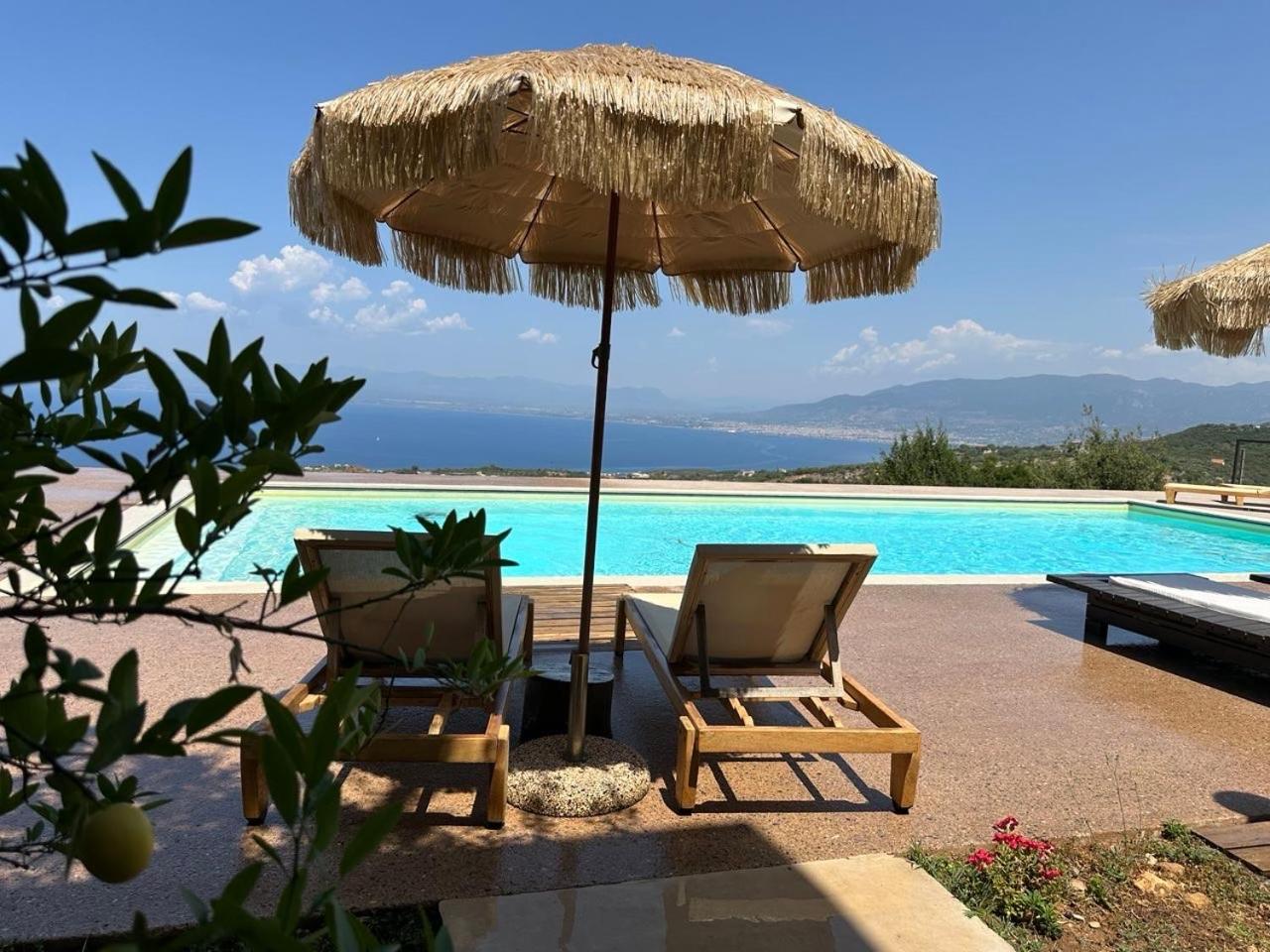 Euphoria Estate Messinia — thumbnail 2