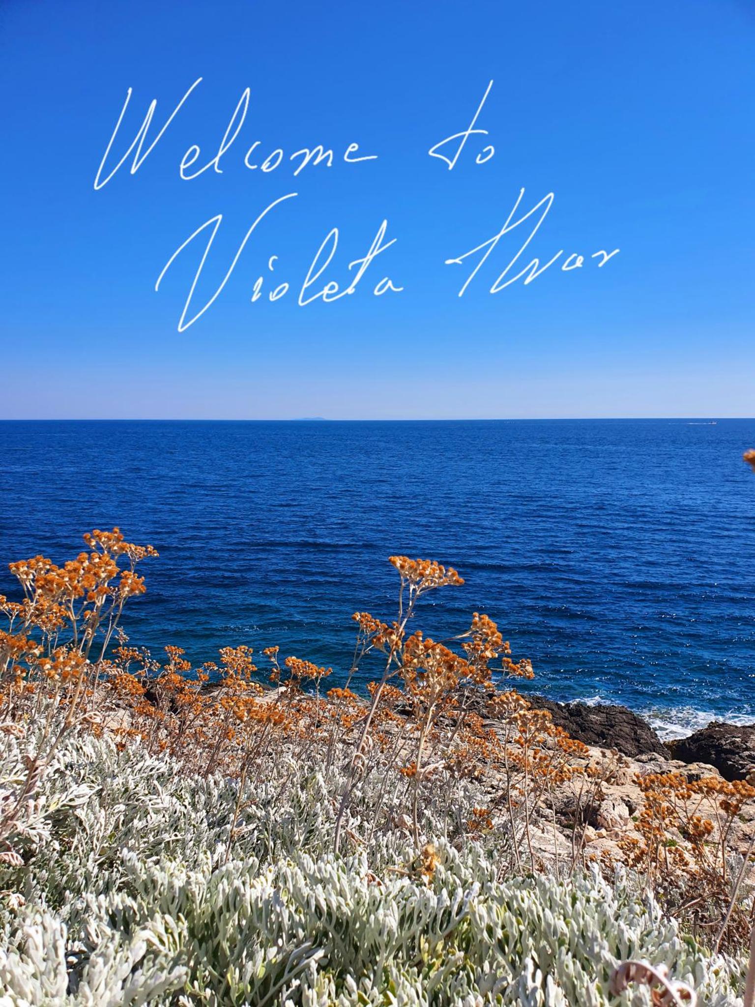 Violeta Hvar — thumbnail 3