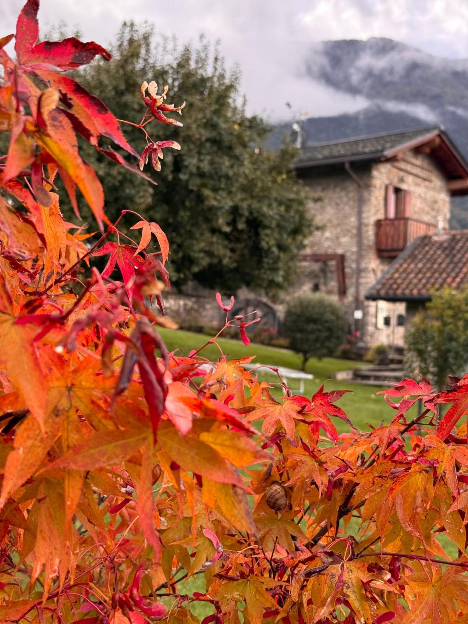 Alle Macine - Historic Molino Maufet Watermill - Lake Como — thumbnail 3