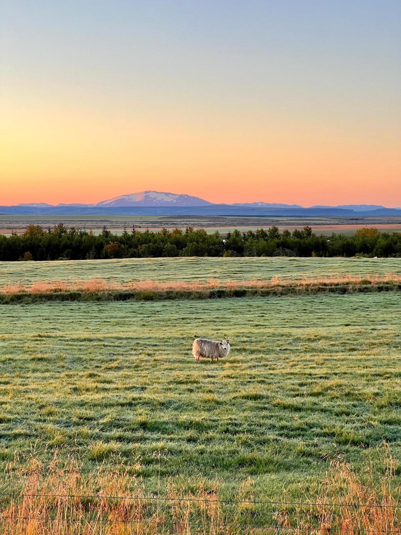 The best calmcations in Iceland