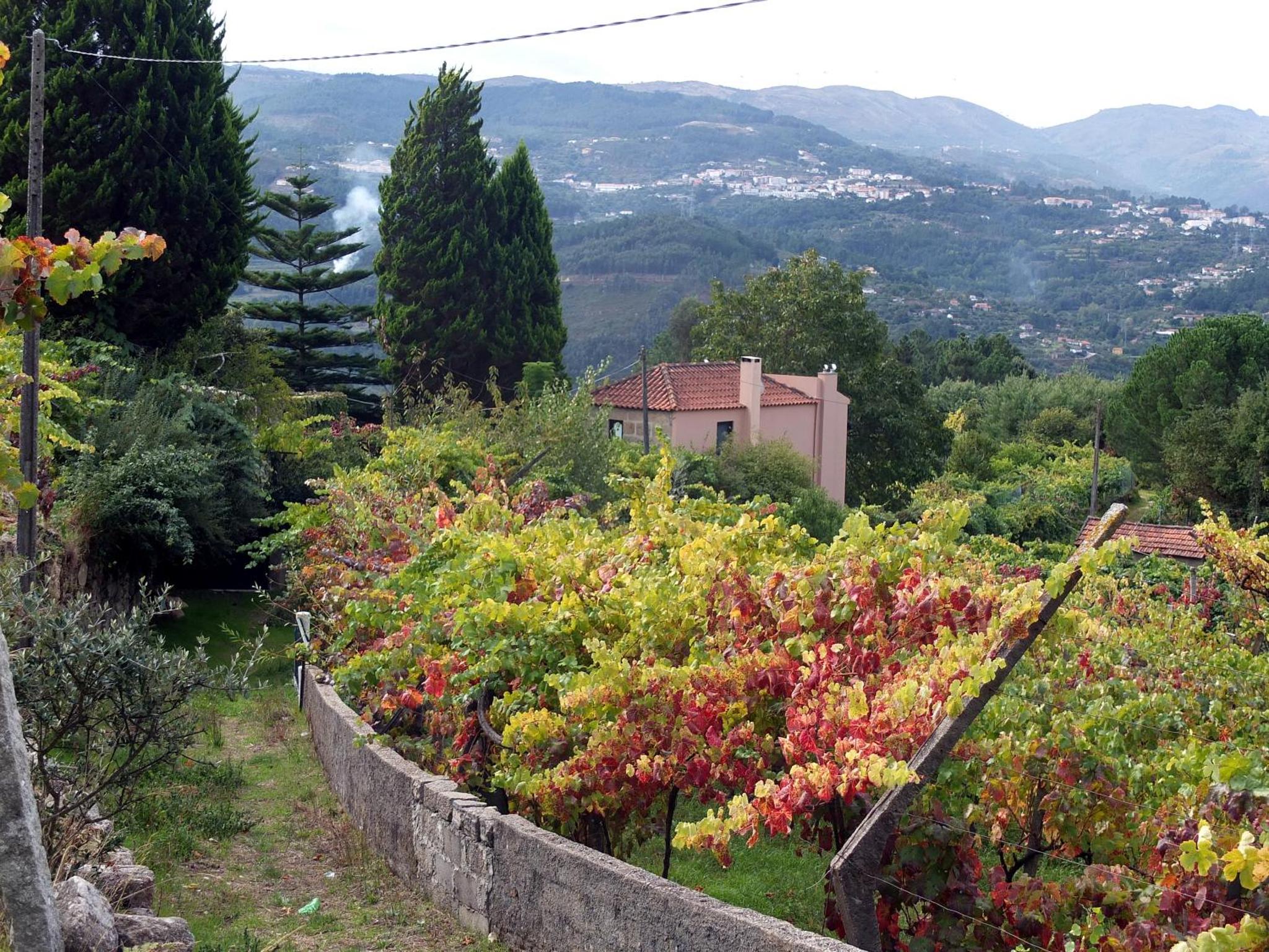 Family Secrets Douro — thumbnail 2