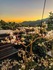 Hôtels à Concepción de Ataco