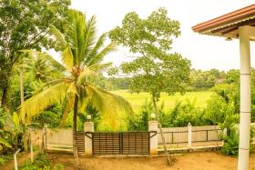 The Breeze Pinnawala Homestay