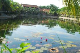 Tam Coc Westlake Homestay