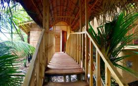 Seasons Four Eco Friendly Treehouse