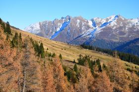Ferienwohnungen Reinalter