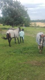 Nygårds Herrgård Bed & Breakfast